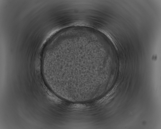 X0000096981115200803071023