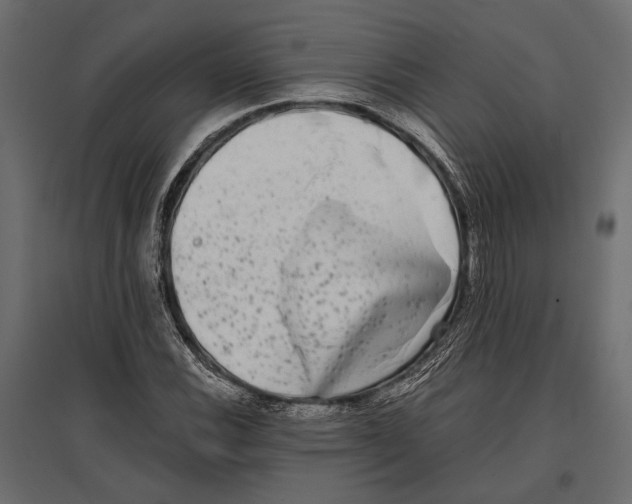 X0000096981116200803071023