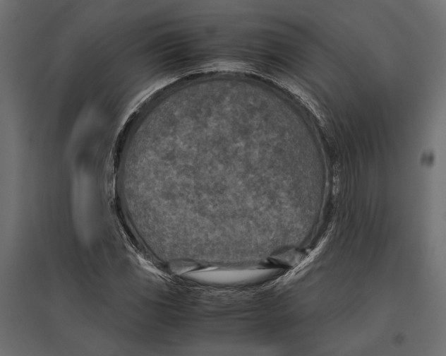 X0000096981117200803071023