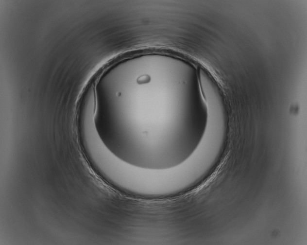 X0000096981118200803071023