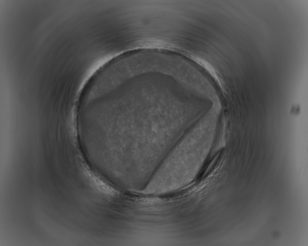 X0000096981120200803071023