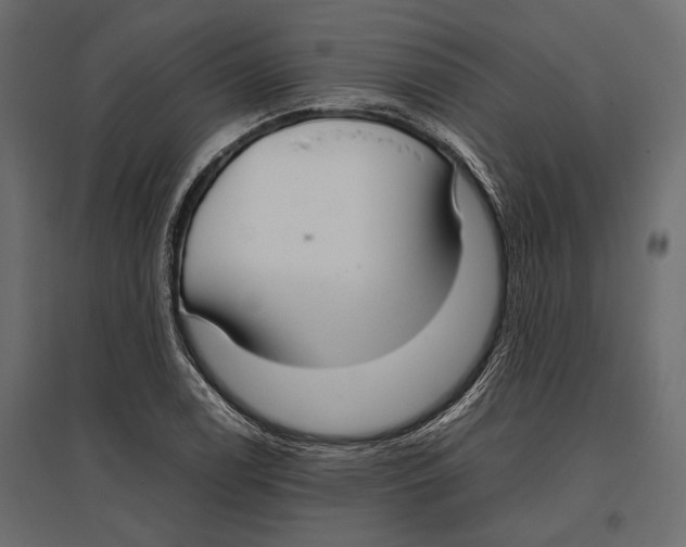 X0000096981122200803071023