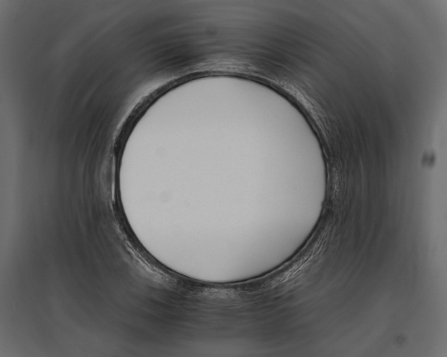 X0000096981123200803071023