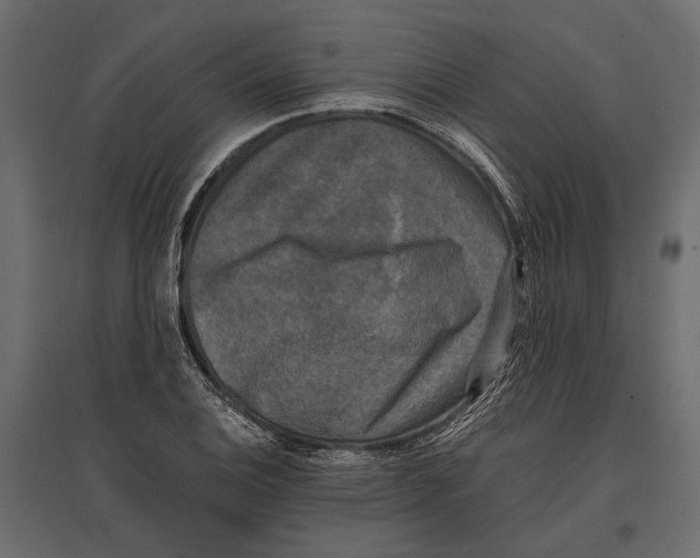 X0000096981124200803071023