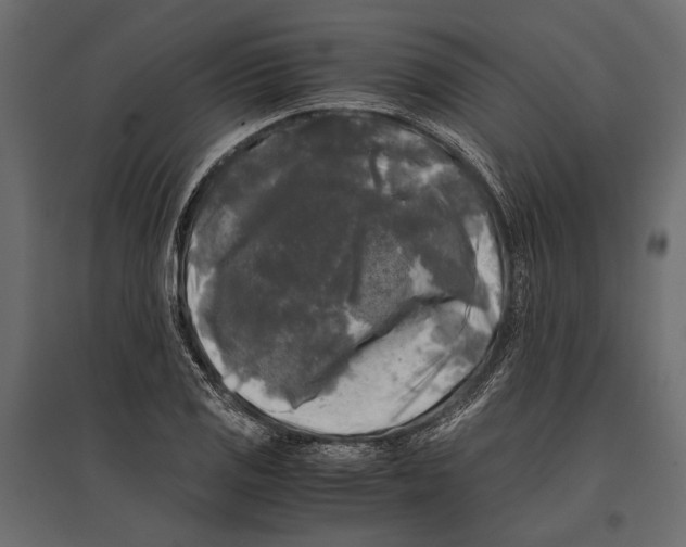 X0000096981125200803071023