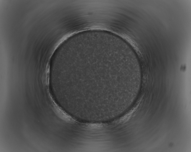 X0000096981126200803071023