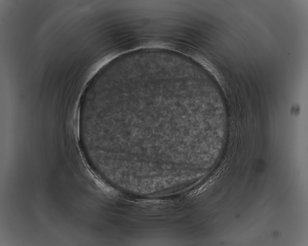 X0000096981127200803071023