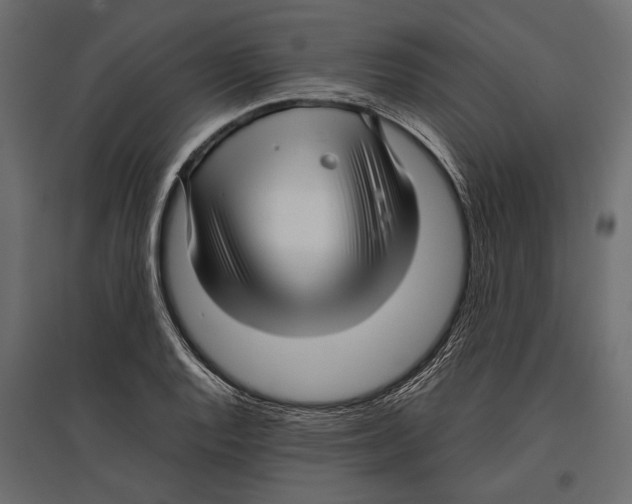 X0000096981128200803071023