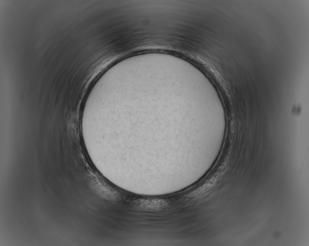 X0000096981129200803071023