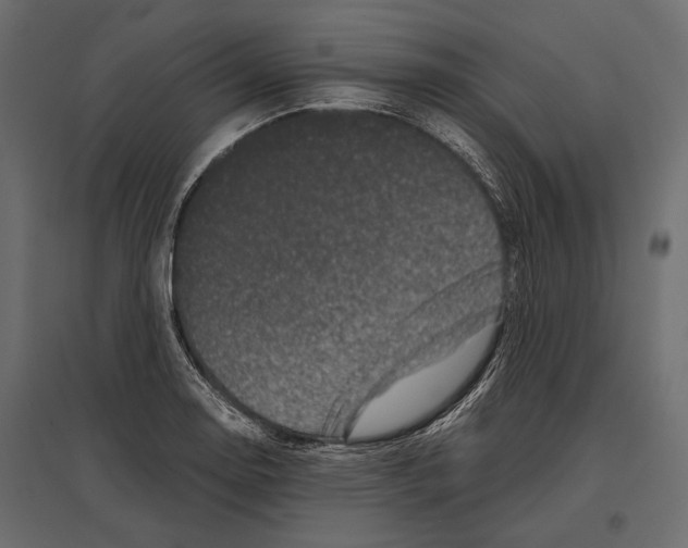 X0000096981130200803071023