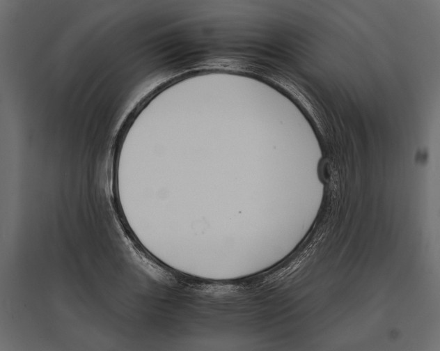 X0000096981131200803071023