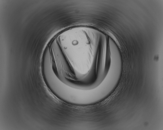 X0000096981132200803071023