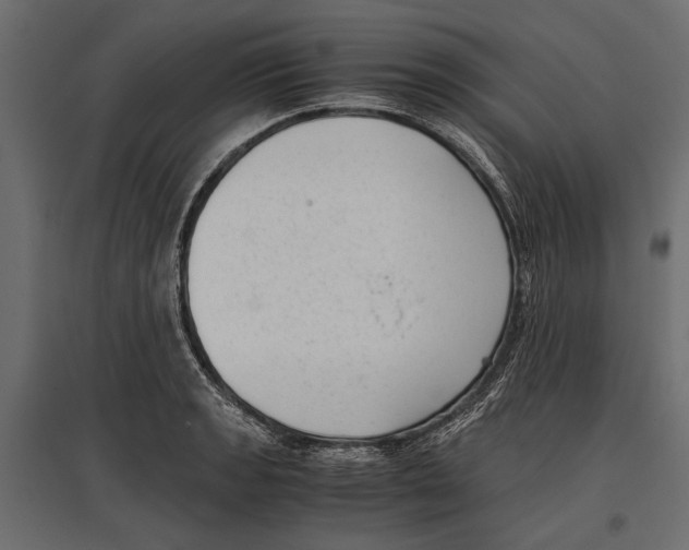 X0000096981133200803071023