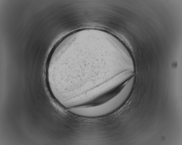 X0000096981136200803071023