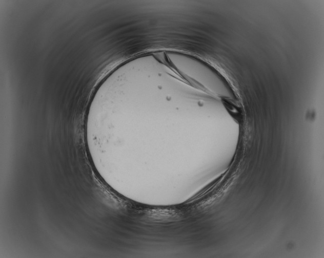 X0000096981137200803071023