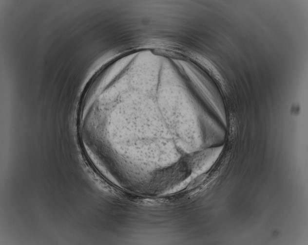 X0000096981138200803071023