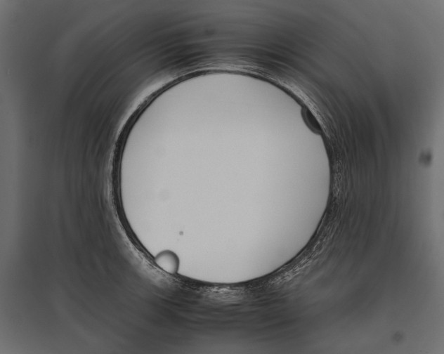 X0000096981139200803071023