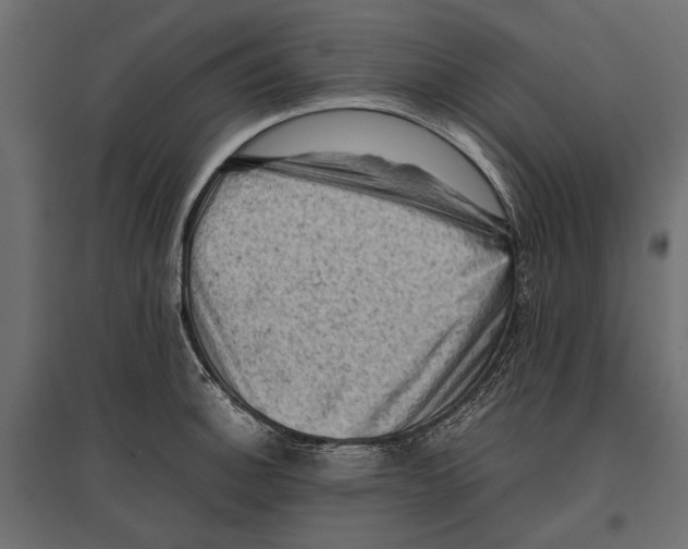 X0000096981140200803071023