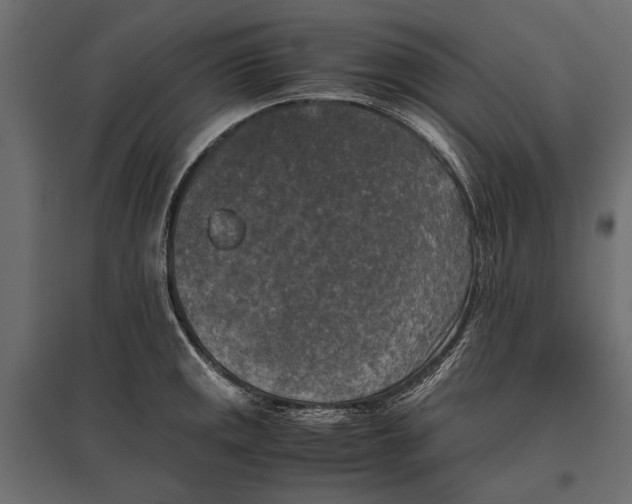 X0000096981141200803071023