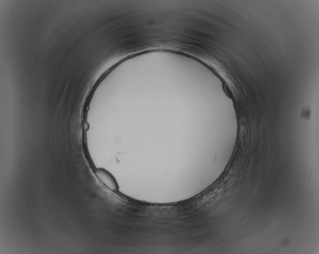 X0000096981143200803071023