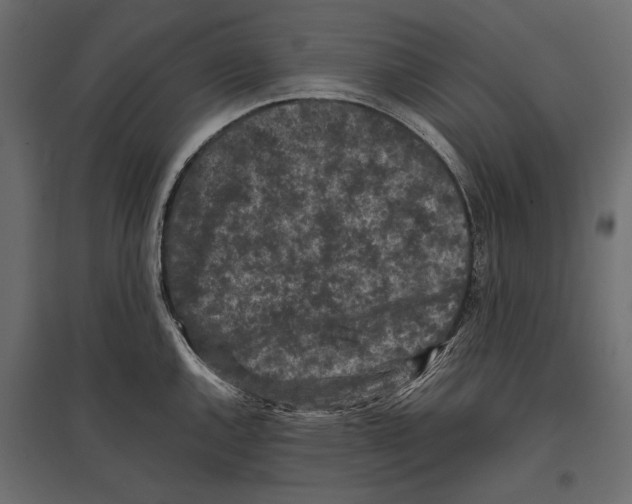 X0000096981144200803071023