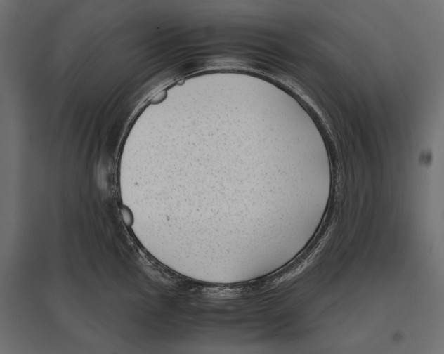 X0000096981145200803071023