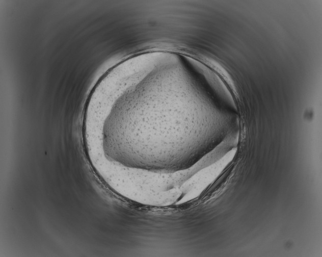 X0000096981146200803071023