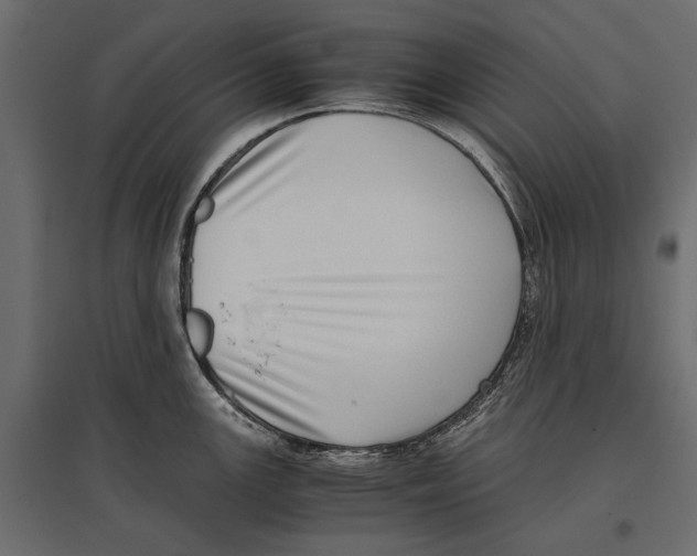 X0000096981147200803071023