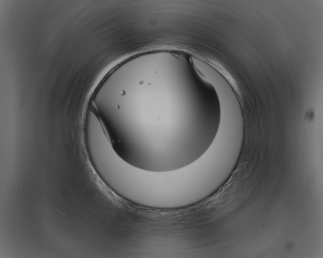 X0000096981148200803071023