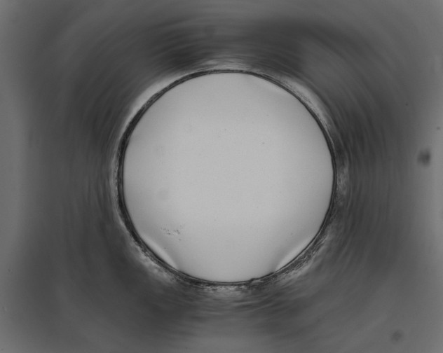 X0000096981149200803071023