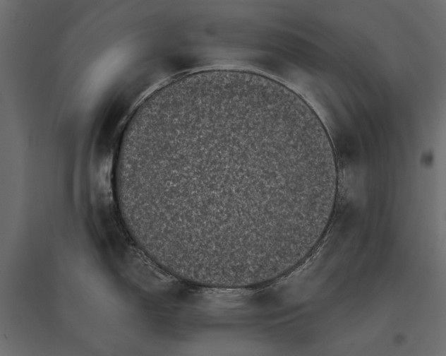 X0000096981150200803071023