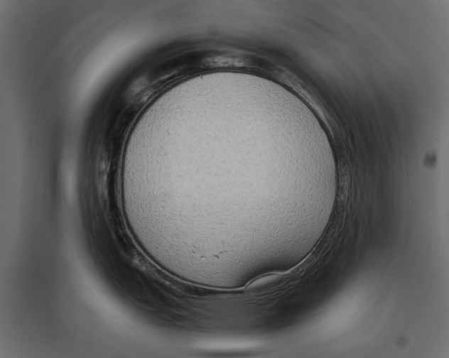 X0000096981151200803071023