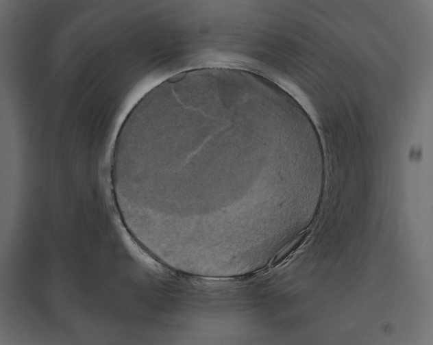 X0000096981152200803071023