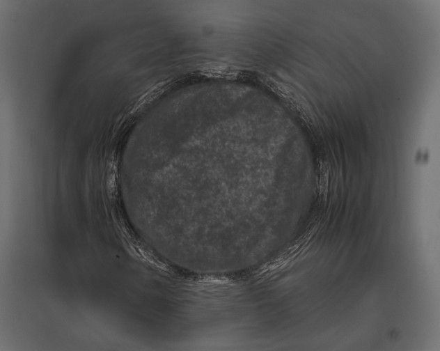 X0000096981154200803071023