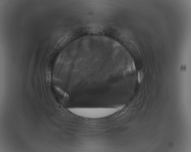 X0000096981155200803071023