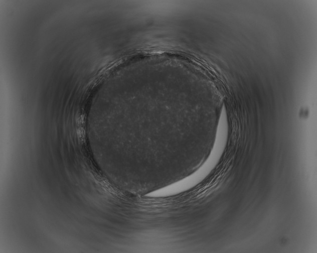 X0000096981156200803071023