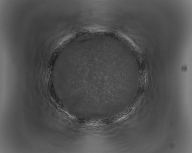 X0000096981157200803071023