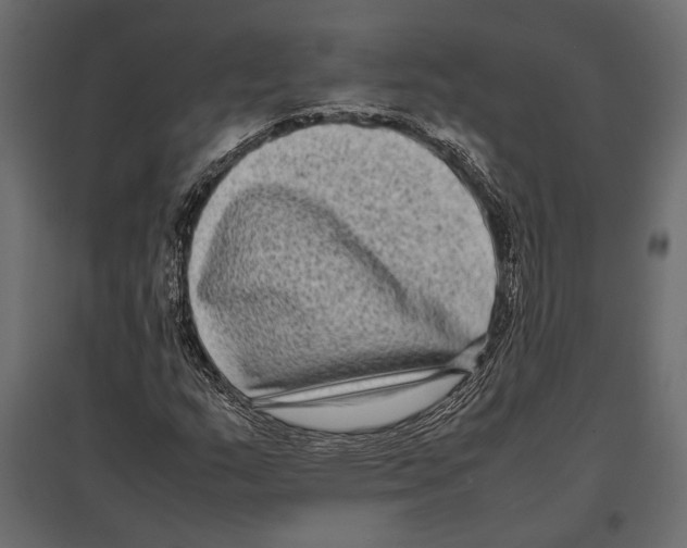 X0000096981159200803071023