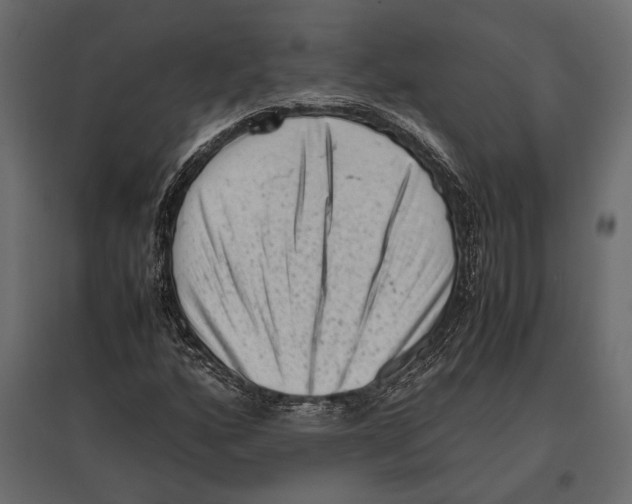 X0000096981160200803071023