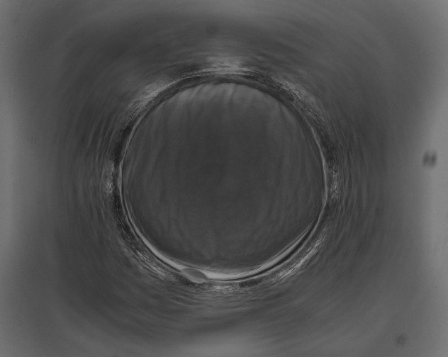 X0000096981161200803071023