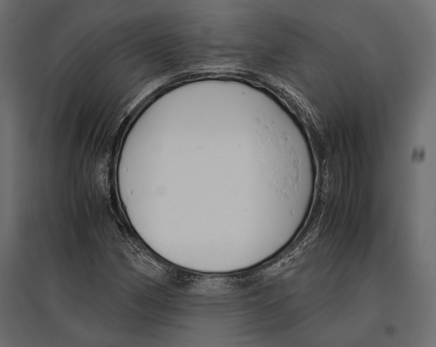 X0000096981162200803071023