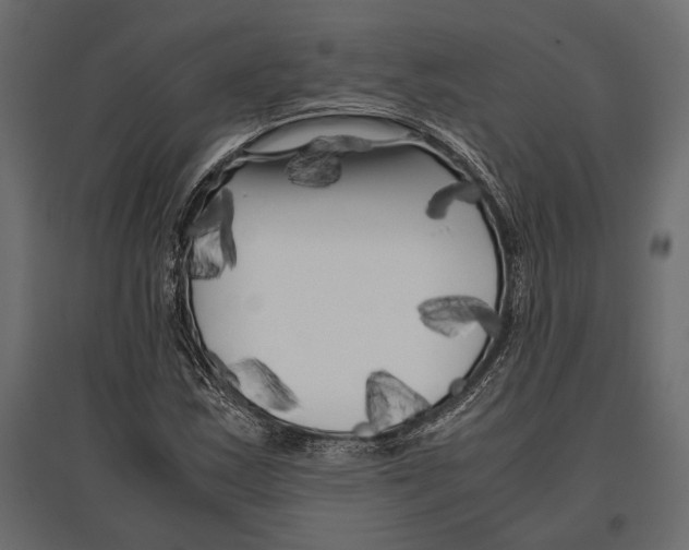 X0000096981163200803071023