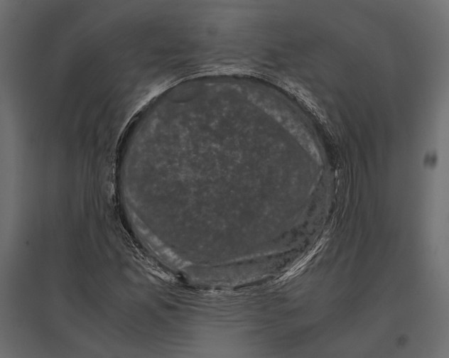 X0000096981165200803071023