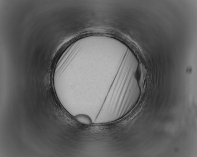 X0000096981166200803071023