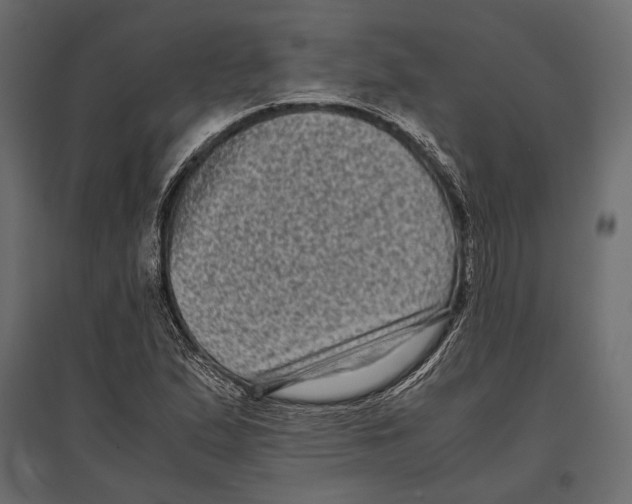 X0000096981167200803071023