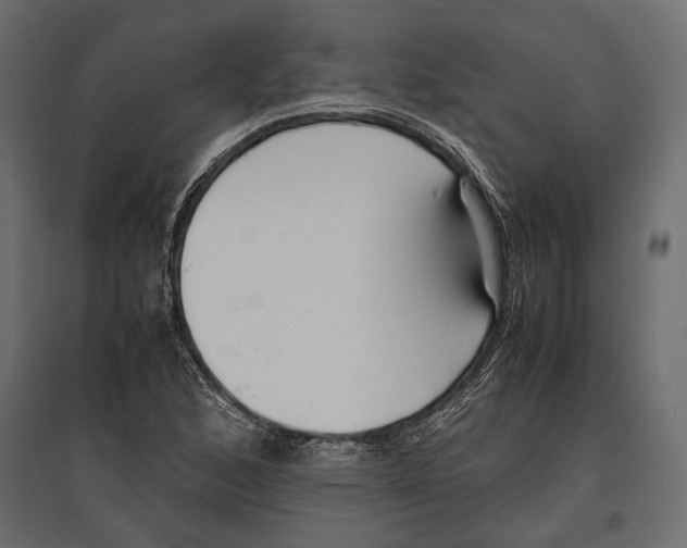 X0000096981168200803071023