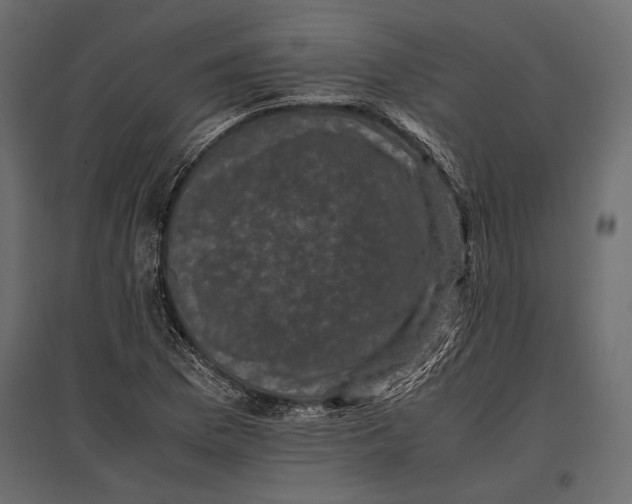 X0000096981169200803071023