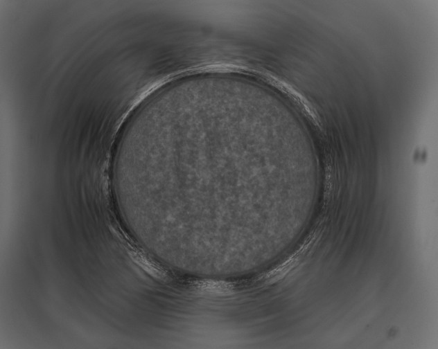 X0000096981170200803071023