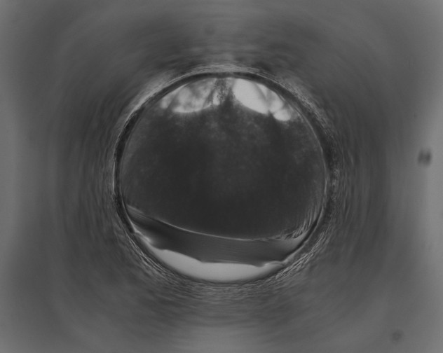 X0000096981173200803071022