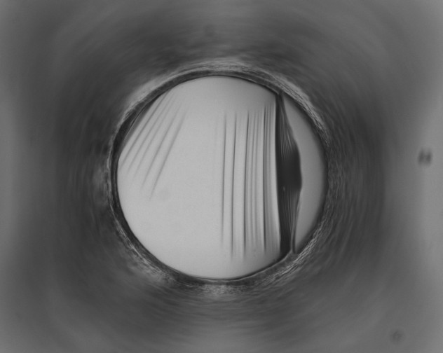 X0000096981176200803071022